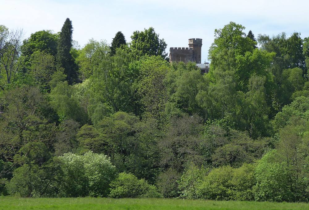 Monkstable - view across field to Birkwood Hous